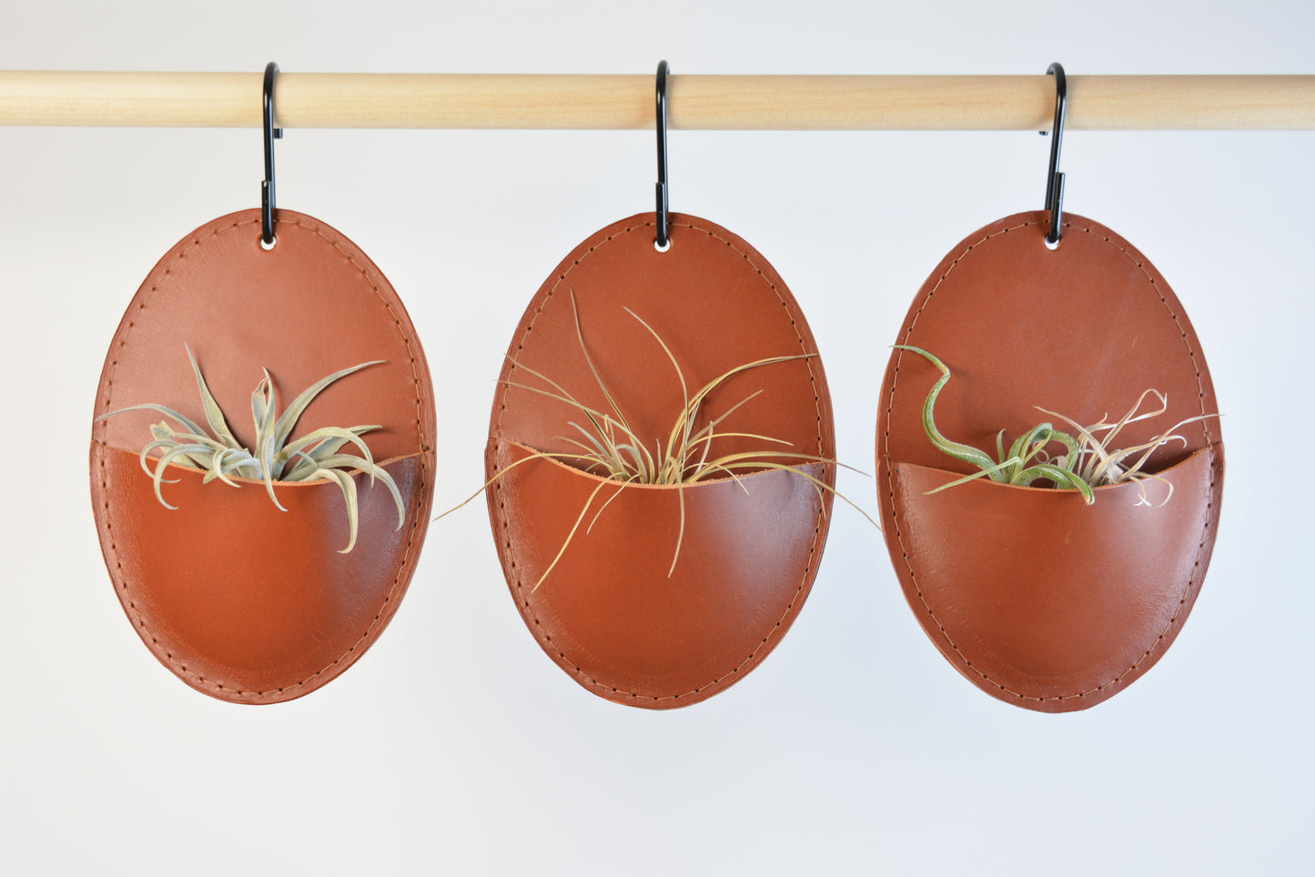 Oval Airplant Wall Holders